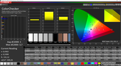 CalMAN ColorChecker calibrated (target color space P3)