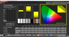 CalMAN ColorChecker (profil: Native, hedef renk uzayı P3)