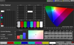 Renk alanı (profil: Original Pro, hedef renk alanı: sRGB)