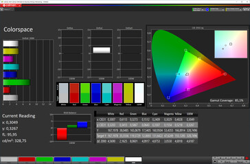 CalMAN: Colour-space coverage (Colour space: sRGB, Profile: Warm)