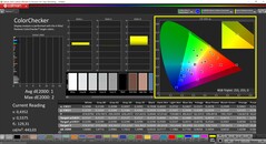Calman ColorChecker (Profil: P3, Hedef renk uzayı: P3)