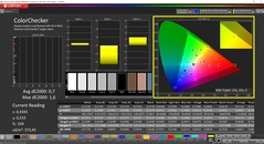 CalMAN ColorChecker kalibre edildi (profil: P3, hedef renk uzayı: P3)