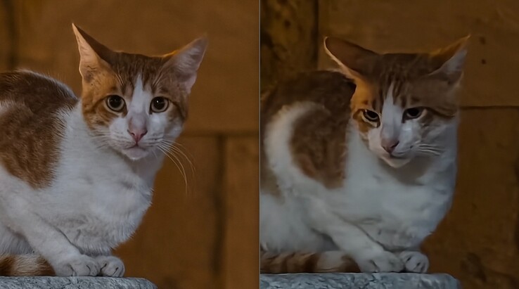 Sol: 200 mm'de telekonvertör ile. Sağda: Telekonvertör olmadan.