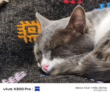 Vivo X300 Pro 400 mm tele dönüştürücü olmadan.