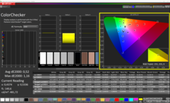 CalMAN - ColorChecker (kalibre edilmiş)