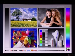 Geniş OLED görüntüleme açıları