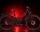 Trek Inbound+ e-bisiklet, Bosch’un Hub Line 250 W motoruna sahiptir