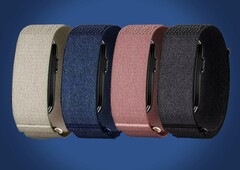 Garmin CIRQA, görünüşe göre dört farklı renkte satışa sunuluyor.