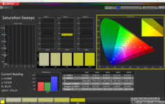 Kalman doygunluğu (P3)