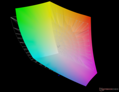 vs. Adobe RGB: %90,8 kapsama alanı