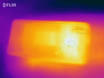 Heatmap - back