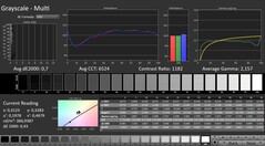 CalMAN: Gri tonlama (kalibre edilmiş)