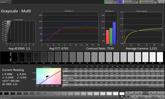 Gri ölçekler (profil: Original Pro, hedef renk uzayı: sRGB)