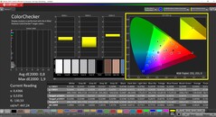 CalMAN ColorChecker (profil: P3 Photography, hedef renk uzayı: P3)