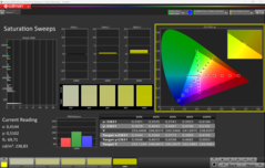 CalMAN Doygunluk Taramaları (sRGB)