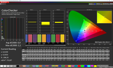 Renk doğruluğu (ekran modu: Pro, hedef renk alanı: sRGB)