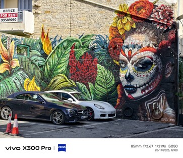 Vivo X300 Pro: Fotoğraf örneği