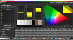 CalMAN ColorChecker calibrated (target color space P3)