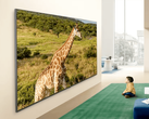 LG QNED84B TV için bir tanıtım görüntüsü.