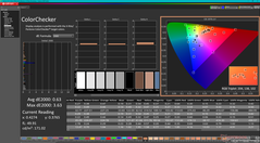 Kalibrasyondan sonra ColorChecker