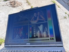 Açık havada güneş ışığı altında