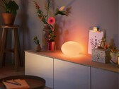 Philips Hue Flourish Masa lambası
