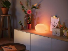 Philips Hue Flourish Masa lambası