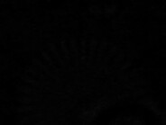 Doogee S200 Ultra Mali-G615 MP2, Dimensity 7400X, 1 TB UFS 3.1 Flash Doogee S200 Ultra