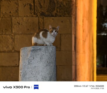 Telekonvertörlü Vivo X300 Pro 200 mm.