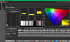Kalibrasyondan önce ColorChecker (sRGB'ye karşı)