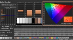 CalMAN: ColorChecker (kalibre edilmiş)