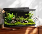 Dangbei Smart Fish Tank 2S Ultra, 26 Nisan 2026 tarihinde Çin'de piyasaya sürülecek.