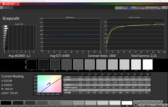 CalMAN Gri tonlama kalibre edildi