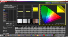 CalMAN ColorChecker (profil: P3, hedef renk uzayı: P3)