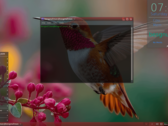 Debian tabanlı Besgnulinux 4-0 artık kullanılabilir