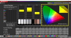 CalMAN ColorChecker (mod: canlı, hedef renk uzayı: P3)