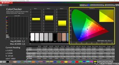 CalMAN ColorChecker (profil: sRGB, hedef renk uzayı: sRGB)