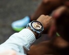 Garmin Connect IQ Store şu anda uygulama güncellemelerini birkaç gün geciktiriyor.