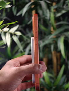 (Resim kaynağı: Ramal Media)