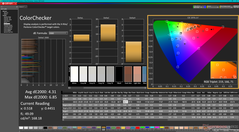 Kalibrasyondan önce ColorChecker (P3'e karşı)