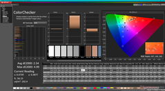 Kalibrasyondan önce ColorChecker (P3'e karşı)