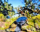 İncelemede: Samsung Galaxy Watch Ultra2