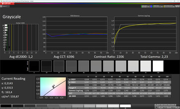Ana ekran: gri ölçekler (renk modu: normal, sıcaklık rengi: standart, hedef renk alanı: sRGB)