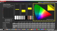 CalMAN ColorChecker kalibre edildi (P3 hedef renk uzayı)