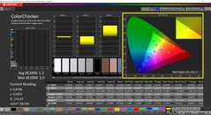 CalMAN ColorChecker (profil: sRGB, hedef renk uzayı: sRGB)