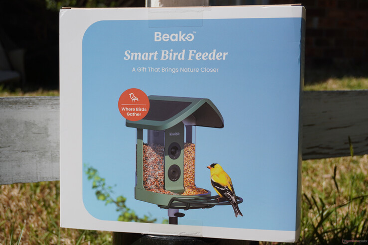 Hediye verilmesi şiddetle tavsiye edilir 