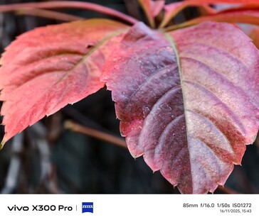 Vivo X300 Pro: Fotoğraf örneği