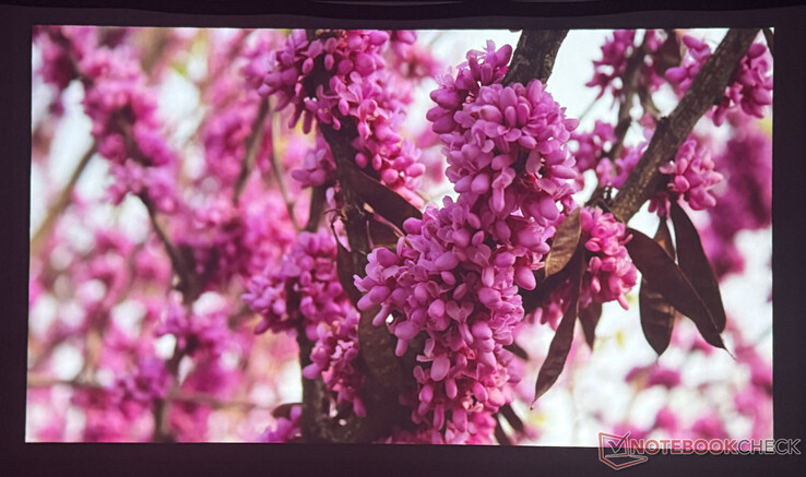 Karanlık bir odada görüntü kalitesi Nebula P1 (Resim kaynağı: Pexels)