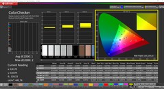 Calman ColorChecker (Profil: sRGB, Hedef renk alanı: sRGB)