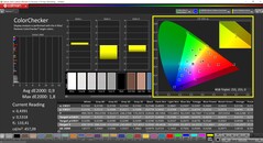 CalMAN ColorChecker (profil: P3, hedef renk uzayı: P3)